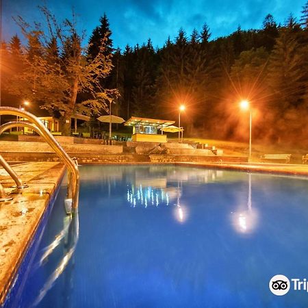Day In Borjomi Daire Dış mekan fotoğraf