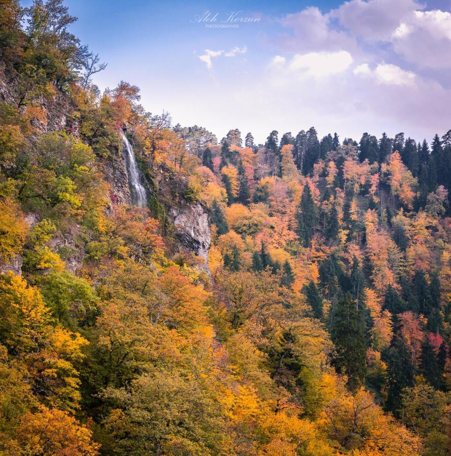 Day In Borjomi Daire Dış mekan fotoğraf