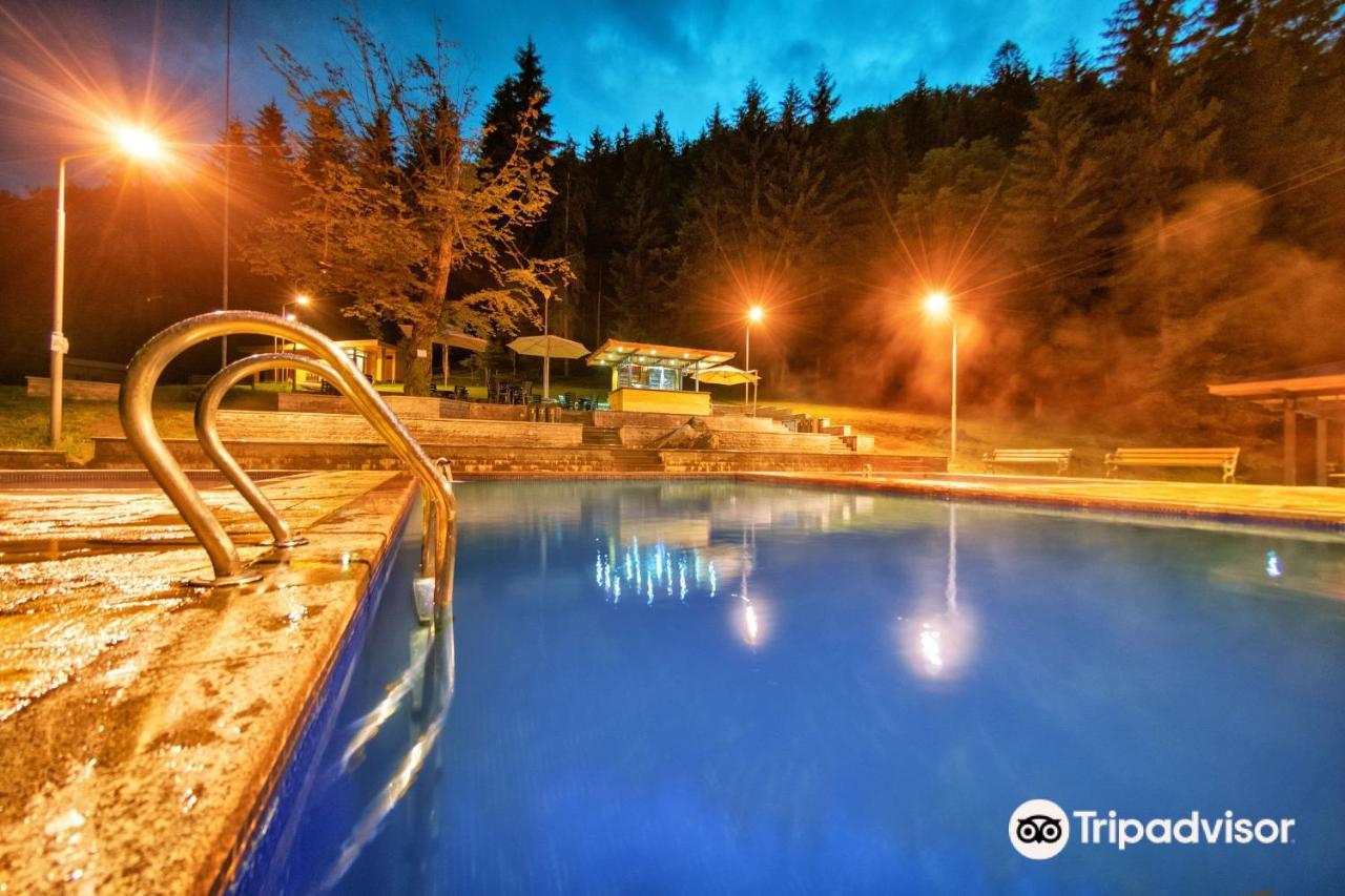 Day In Borjomi Daire Dış mekan fotoğraf